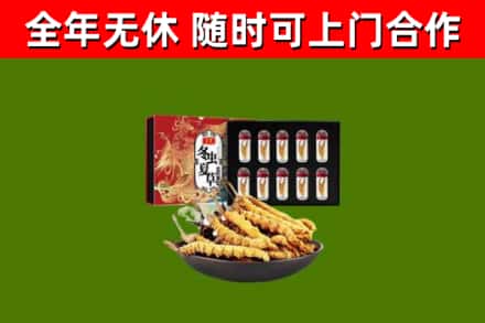 烟台回收冬虫夏草价格